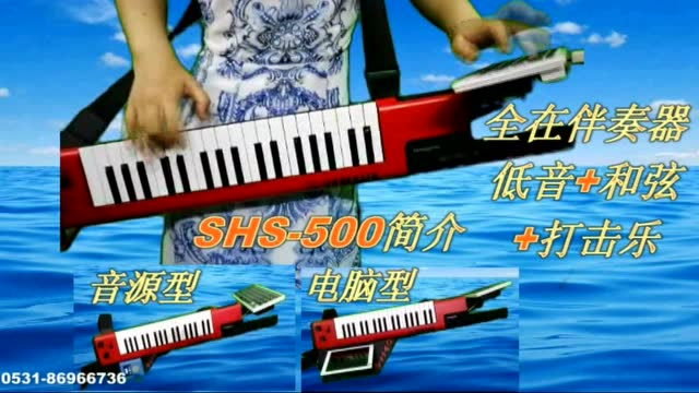 背挎双排键电子琴手风琴伴式合成器脚电子鼓