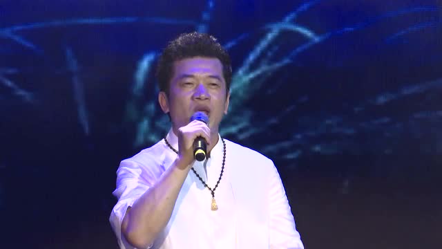 陈星演唱会图片