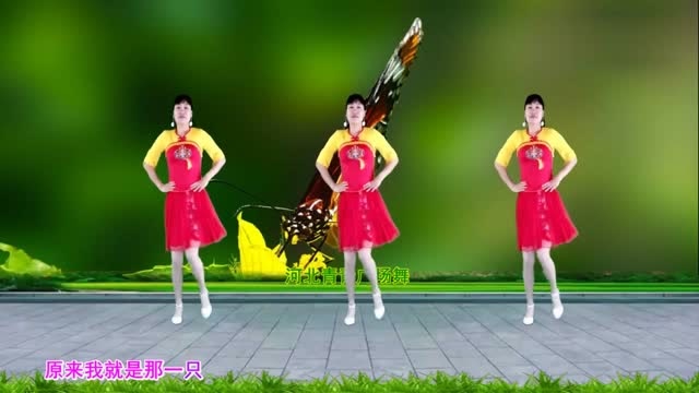 初学者踩点练习广场舞《酒醉的蝴蝶》新32步,好看易学
