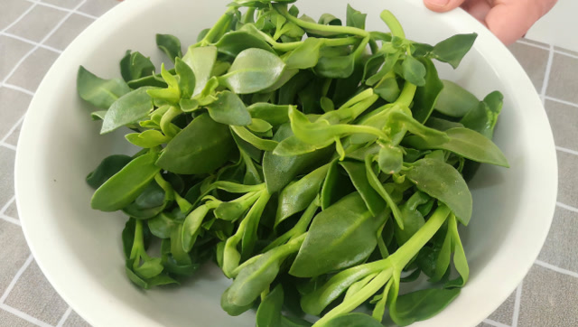 凉拌田七苗到底焯不焯水?到今天我才知道,这样做清淡爽口又好吃