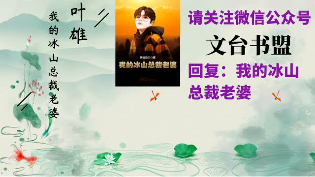 我的冰山总裁老婆叶雄杨心怡黄枫雨天免费看书