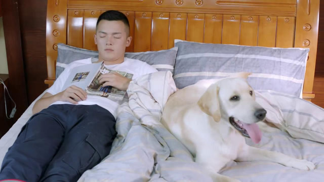 神犬小七:小小七拼命黏着敖力,上厕所都要跟着,敖力立马训练他