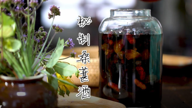 秘制桑葚泡酒的制作方法酸酸甜甜滋阴补肾好喝还不上头记得收藏