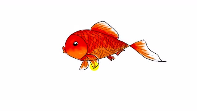 鱼怎么画简笔画 彩色图片