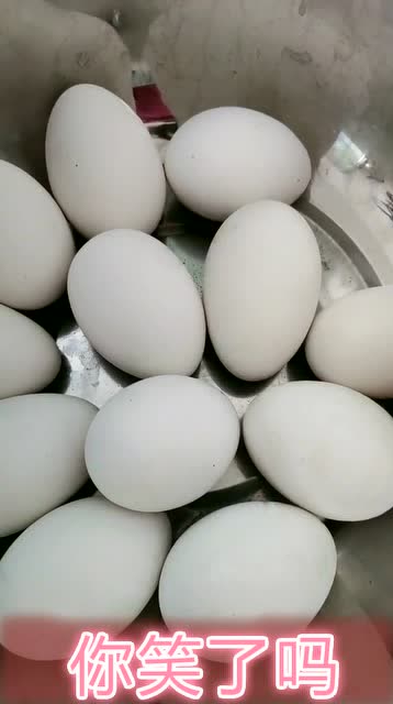 大家注意了这是假鹅蛋