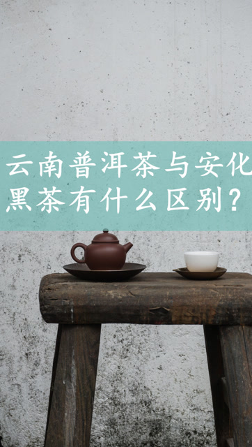 安化黑茶学校招生宣传片_安化县黑茶学校_安化黑茶学校是公办学校吗