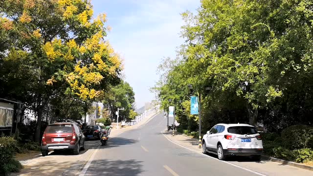 漫步湖北黄石情人路,沿途景色是好,但一对情侣也没看到