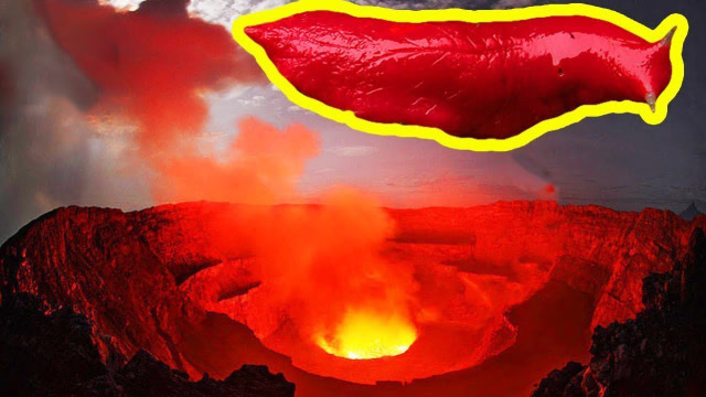 5个生活在火山里的神秘生物,科学家也开始不淡定了!