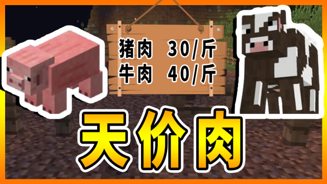 我的世界国家建设44:肉类涨价,小镇自己建设免费肉厂!