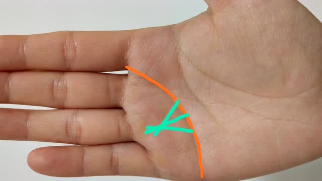 据说手中有"豪宅纹"是富贵之命,你有吗?