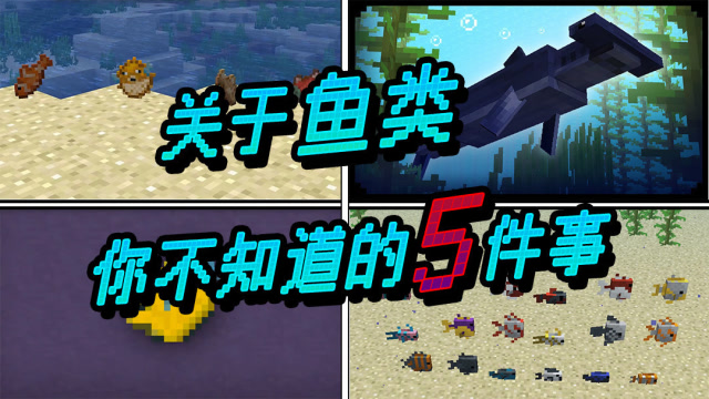 我的世界:鱼你不知道的5件事,鱼的血量之前竟然这么高?