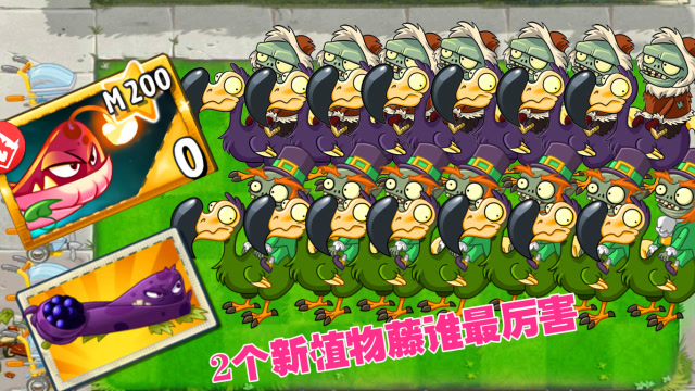 爆裂黑莓藤pk火莓藤:渡渡鸟倒霉的为什么总是我