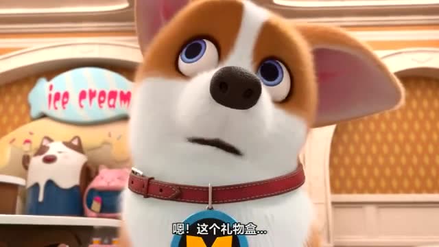 飞狗moco-moco从没收到可爱的礼物,小公举出奇招,下一秒真尴尬