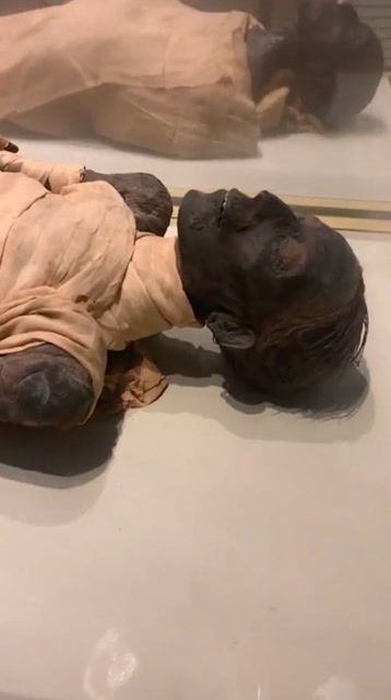 埃及木乃伊实拍,保存的真好,百年前肯定是个大美女!