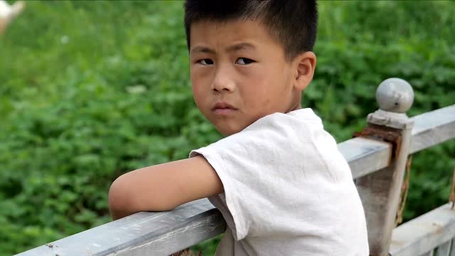 松下gx9视频测试 田野