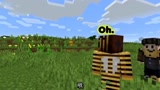 Minecraft动画：为什么蜜蜂这么大