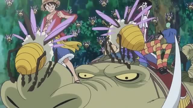 航海王:佐乌的吸血昆虫有些凶猛啊,鳄鱼被咬一口就倒地,佐乌都会虚弱