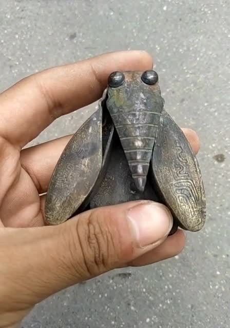 据说这是古代蝉翼刀,打开的那一刻,不得不佩服古人智慧!