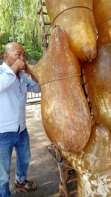 农村大爷这么牛几下就把羊皮吹起来了,真厉害