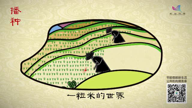 《一粒米的世界》 ——国管局制作推出全国公共机构节约粮食公益宣传