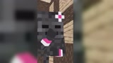 Minecraft动画《肉先生挑战》，凋零骷髅一家VS肉先生！