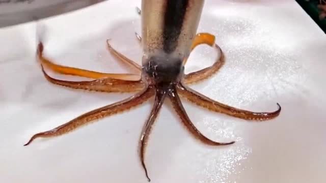 大叔处理鱿鱼,捞出来直接切开还会喷水,做成刺身吃起来鲜美可口