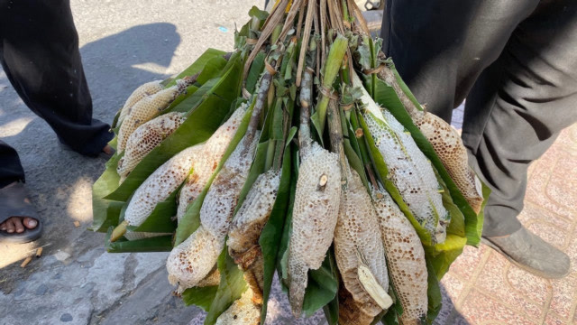 大叔路边卖野生"玉米棒",有人嫌弃又怪又贵,刮开一看才知道赚翻了!
