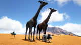 方舟生存进化：侏罗纪探险32驯服非洲长颈鹿名副其实的大长腿