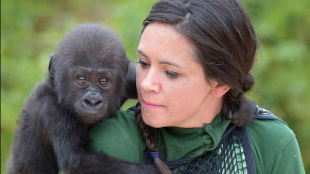 黑猩猩和人类有生殖隔离吗?苏联科学家找来5名女性,如今怎样了?