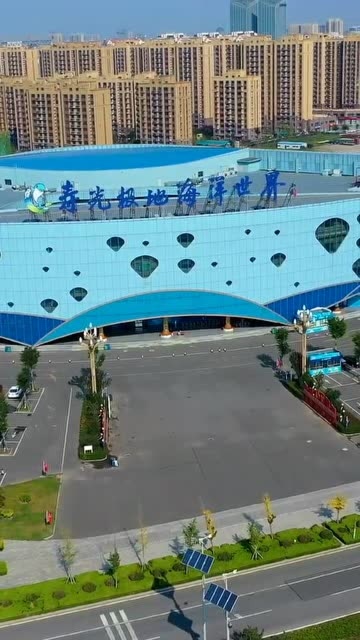 从淄博开车一小时就能看到海豚表演不错就是这里寿光海洋极地世界