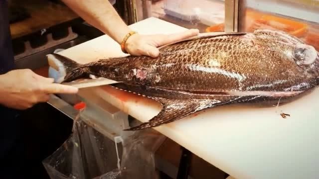 日本海鲜斯氏长鳍乌鲂,爱吃鱼的这下有口福了