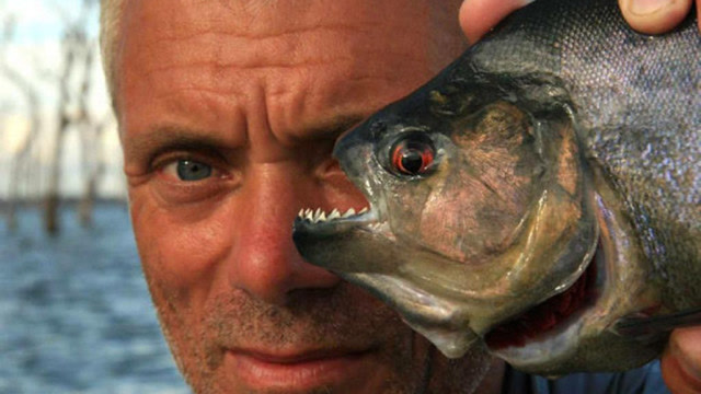 食人鱼为何如此凶猛?将它切开放大100倍,结果让人大吃一惊!