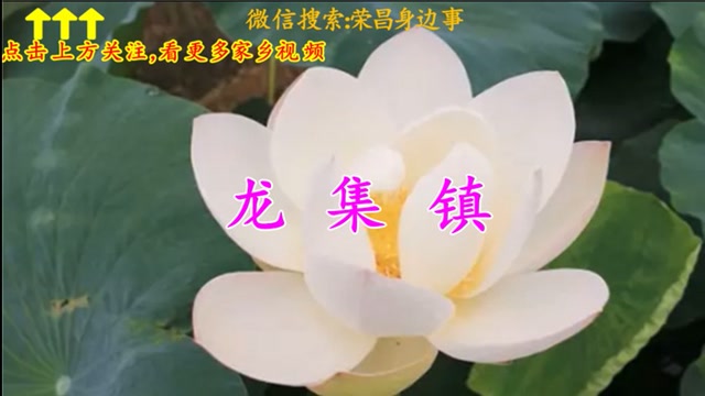 我的家乡-龙集镇