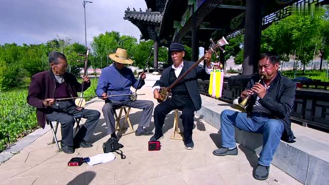 青海乐都民间小调《拨韭菜》乐器演奏