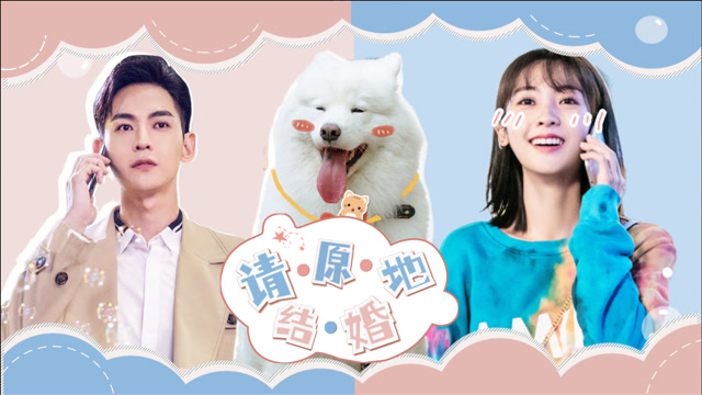 《我的小确幸》严重怀疑让一让是人变的,懂得太多了