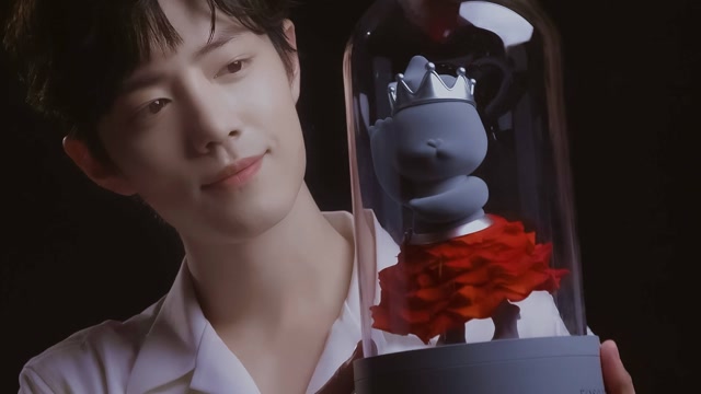 破次元混剪|肖战×小王子|世界上的花数不胜数,唯你是我独一无二的