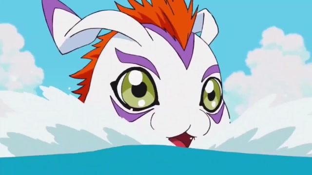 可爱的哥玛兽来了