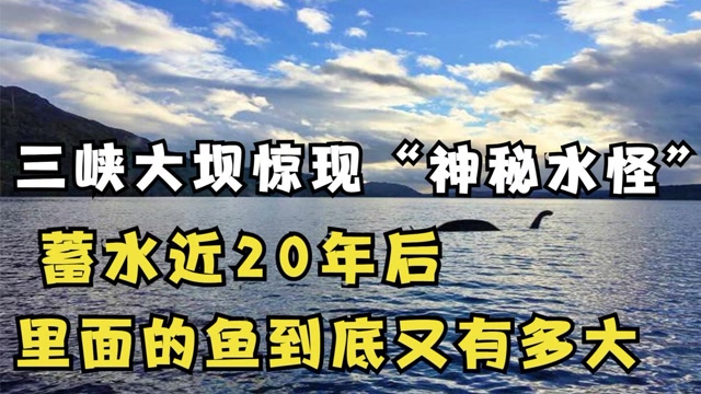 三峡大坝突现巨型水怪可被抓上岸后闪瞎众人双眼纪录片
