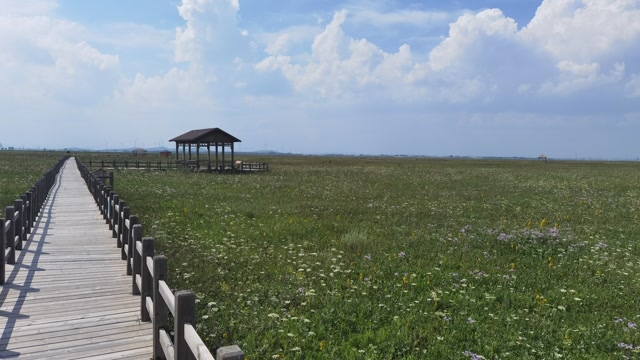 沽源县五花草甸