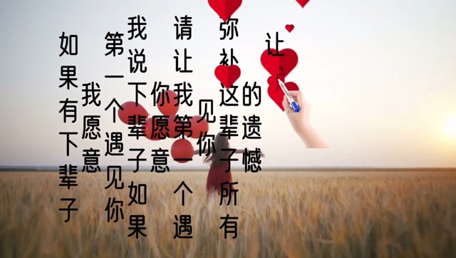 如果有下辈子,我愿意第一个遇见你