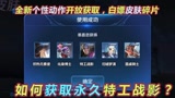 王者荣耀：如何获取永久特工战影？必得全新个性动作，新增白嫖皮肤碎片方法