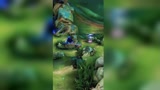 王者荣耀：这波操作，你看懂了吗