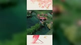 王者荣耀：这还怎么玩？举报达摩开挂