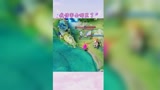 王者荣耀：我伤害去哪里了？