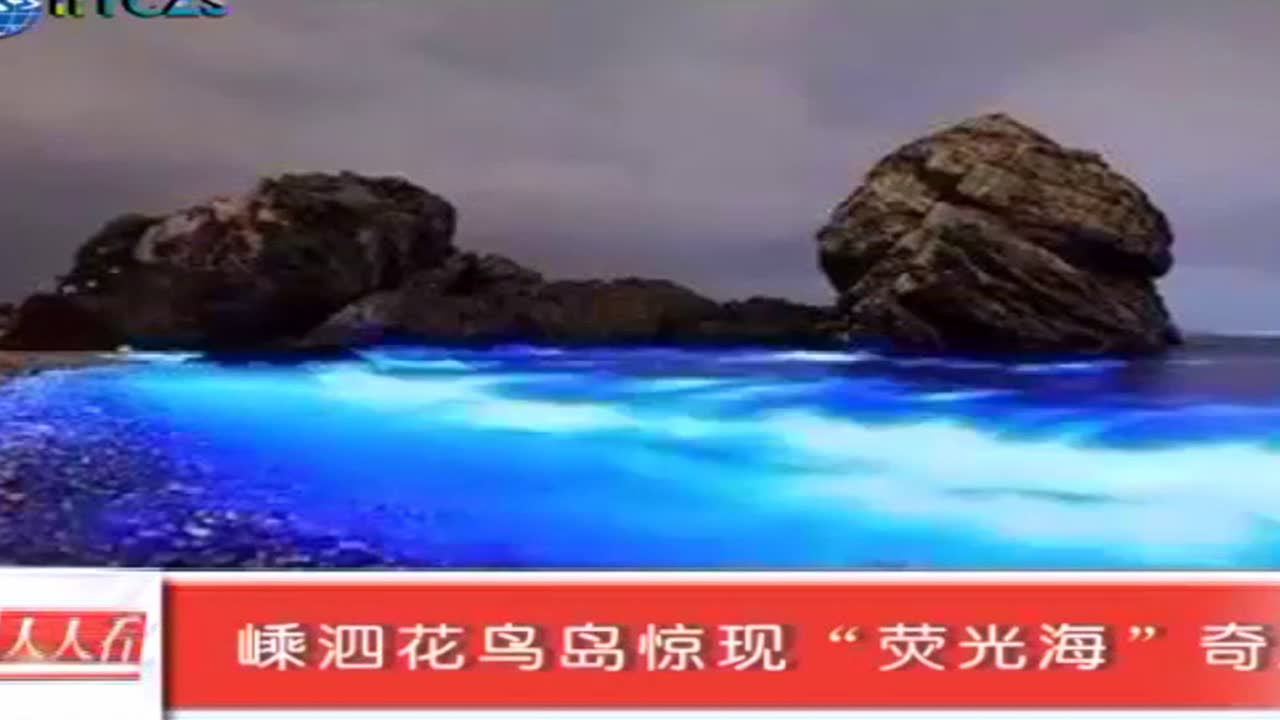 嵊泗花鸟岛惊现荧光海奇观