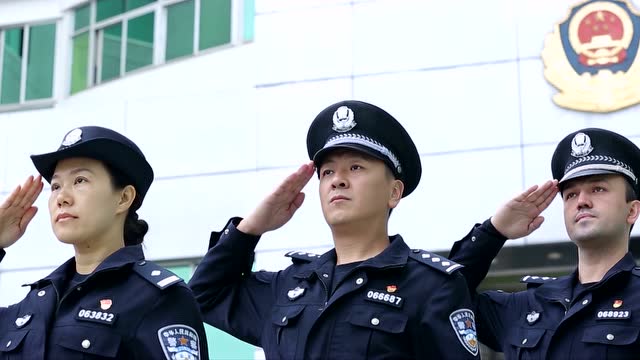 《当我举起敬礼的手》