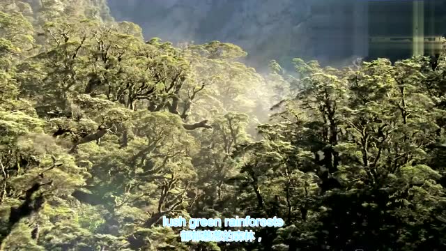 保罗·麦卡特尼：一周一素就能改变世界
