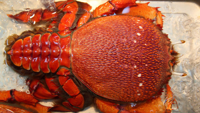 这种蛙蟹的味道和一般螃蟹并无两样,但蟹黄却特别地香