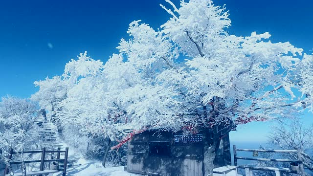 老君山梦幻雾凇