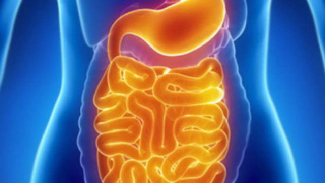 促进肠道吸收,对健康十分有利,没想到竟是这类不起眼的东西